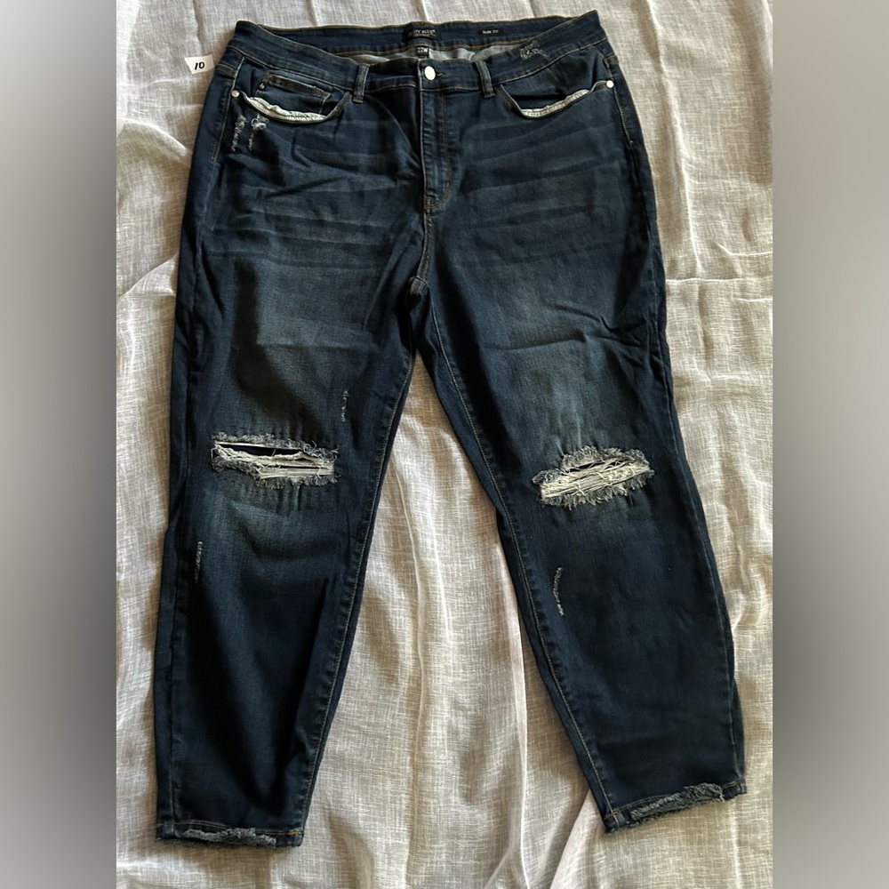 Judy Blue Slim Fit 22W EUC